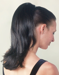 Aspen Additions : Easy Clip Straight (#CP-16)