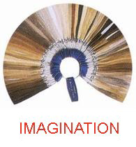 Wig Color Ring : Imagination