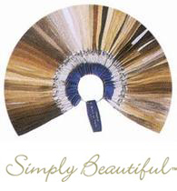 Wig Color Ring : Simply Beautiful Human Hair