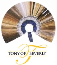 Wig Color Ring : Tony of Beverly (TB & TB Fashion)