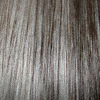 Eva Gabor Wig Color Gradient Smoke