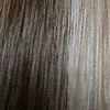 Eva Gabor Wig Color Pearl & Walnut Mist