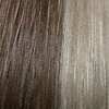 Eva Gabor Wig Color Golden Pecan Mist