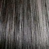Eva Gabor Wig Color Gradient Charcoal