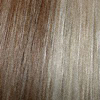 Eva Gabor Wig Color Golden Mist