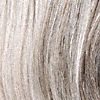 Eva Gabor Wig Color Sugared Smoke
