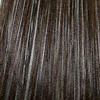 Eva Gabor Wig Color Smoked Mink