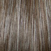 Eva Gabor Wig Color Smoked Walnut