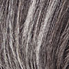 Eva Gabor Wig Color Sugared Charcoal