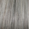 Eva Gabor Wig Color Pewter