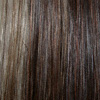 Eva Gabor Wig Color Nutmeg Mist