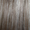 Eva Gabor Wig Color Platinum Mist