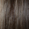 Eva Gabor Wig Color Pecan Mist