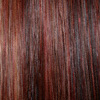 Eva Gabor Wig Color Dark Copper Mist