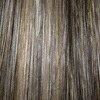 Eva Gabor Wig Color Almond Mist