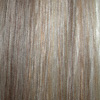 Eva Gabor Wig Color Honey Mist