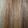 Eva Gabor Wig Color Butterscotch Mist