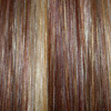 Eva Gabor Wig Color Cayenne Mist