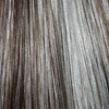 Eva Gabor Wig Color Sugared Pecan