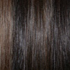 Eva Gabor Wig Color Coffee Mist