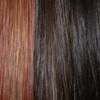 Eva Gabor Wig Color Hazelnut Mist