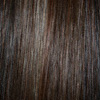 Eva Gabor Wig Color Chestnut Mist