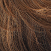 Eva Gabor Wig Color Dark Cinnamon Mist