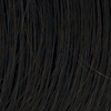 Eva Gabor Wig Color Ebony