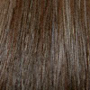 Eva Gabor Wig Color Pecan