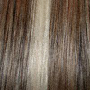 Eva Gabor Wig Color Iced Toast