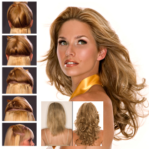 EasiXtend Clip-in Extensions : Elite 16 HH Set (#322)