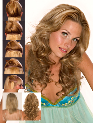 EasiXtend Clip-in Extensions : Professional 16 Set (#321)