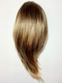 Easy Clip Short Straight by Aspen Wigs