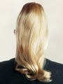 Human Hair Switch 2 by Aspen Wigs