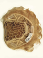 Human Hair Top Secret by Aspen Wigs