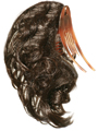 PTFLAT 56 by Estetica Wigs