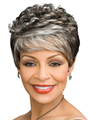 Lexus by Foxy Silver Wigs Wigs