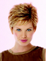 Counterpoint by Raquel Welch Wigs