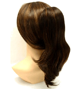 Aspen Nalee Hair Pieces : 17 Inch Straight Clip On (NP-017)