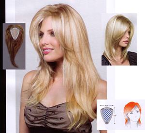 Rene of Paris Wigs : Long Accent (#735)