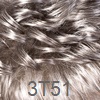 Alicia CareFree Foxy Silver - Color 3T51