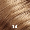 EasiHair color 14.