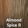 Almond Spice R or Dark Brown roots on Raisin Glaze base and Nutmeg/Champagne highlights.