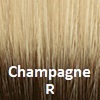 Champagne R or Dark Brown Roots on Pale Champagne Blonde.