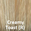 Creamy Toast R or Dark Brown Roots on Champagne Base and Sandalwood highlights.