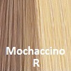 Mochaccino R  Shadowed Roots on Light Golden Brown w/ Light Gold Blond (14+140) Highlights.