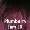 Plumberry Jam LR  Deep Burgundy with dark roots Med Plum Ombre rooted with 50/50 blend of Red/Fuschia
